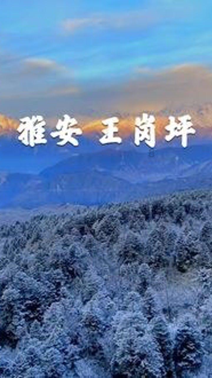 救援可爱小学生